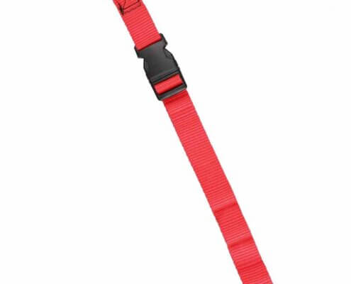 1 inch Strap With Plastic Buckle
